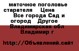 маточное поголовье старателя  › Цена ­ 3 700 - Все города Сад и огород » Другое   . Владимирская обл.,Владимир г.